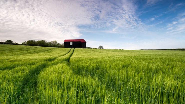 Red roof barn settled on farm with green grasses and blue sky