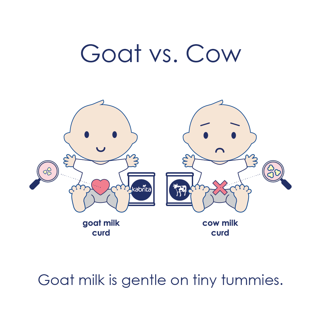 Goat milk is gentler on tiny tummies than cow milk