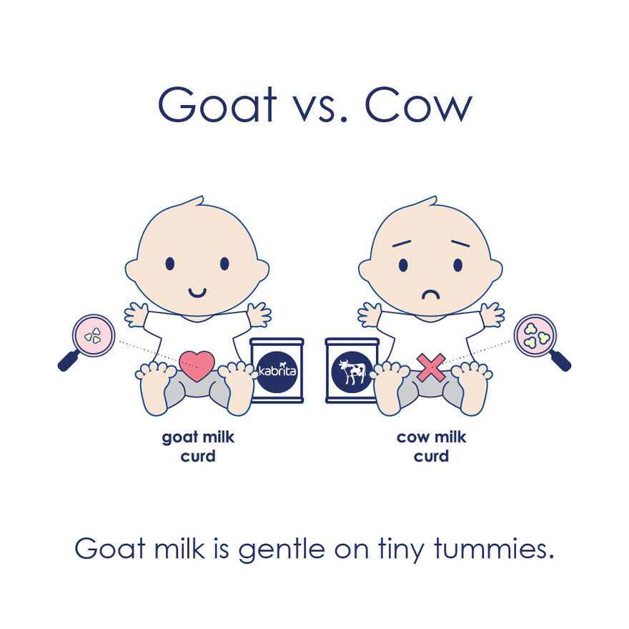 Goat milk is gentler on tiny tummies than cow milk