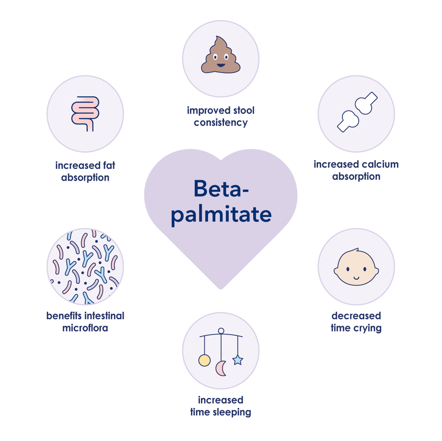 infographic of the benefits of beta-palmitate