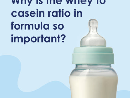 Whey Protein in Baby Formula