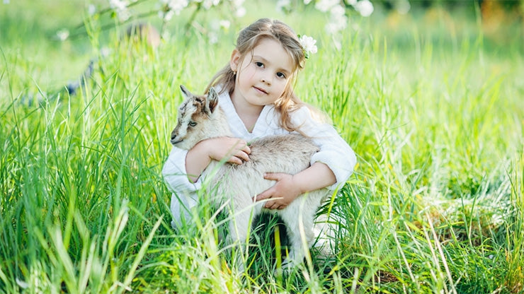 Goat Milk Formula: Choosing The Best For Your Baby