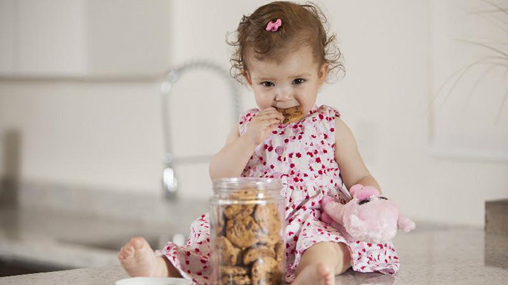 Toddler sitting on kitchen counter eating cookies from cookie jar