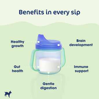 Kabrita Goat Milk-Based Toddler Nutrition
