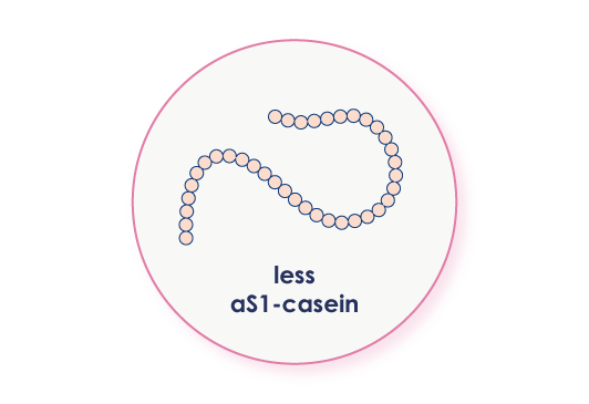 less aS1-casein
