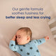 Goat Milk Infant Formula